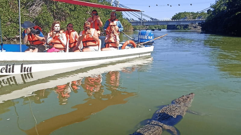 From Cancún: Rio Lagartos & Las Coloradas Day Trip & Lunch - The Mayan clay bath and the short beach stop