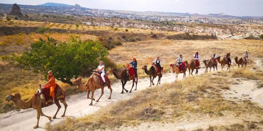 From Cappadocia: Sunrise or Sunset Camel Riding Day Trip - Who will enjoy this camel ride?
