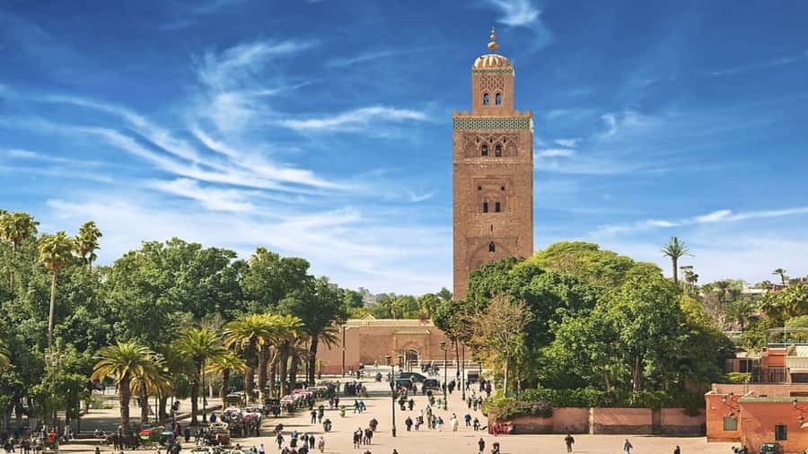 From Casablanca: Day Trip to Marrakech with Camel Ride - The long road from Casablanca to Marrakech