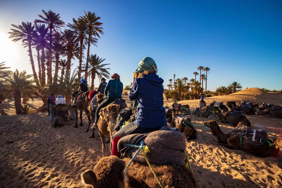 From Casablanca: Day Trip to Marrakech with Camel Ride - Walking through the Mellah, Medina, and souks