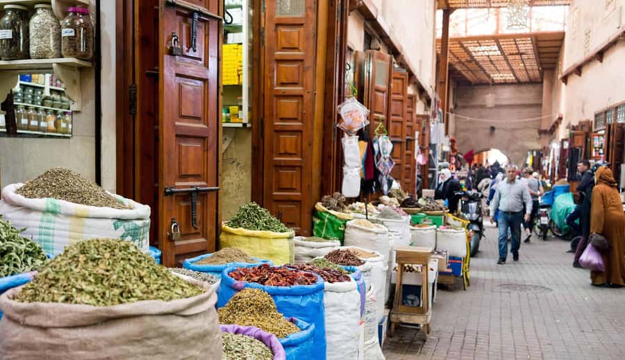 From Casablanca: Marrakech Guided Day Trip with Camel Ride - Bahia Palace and the old Mellah