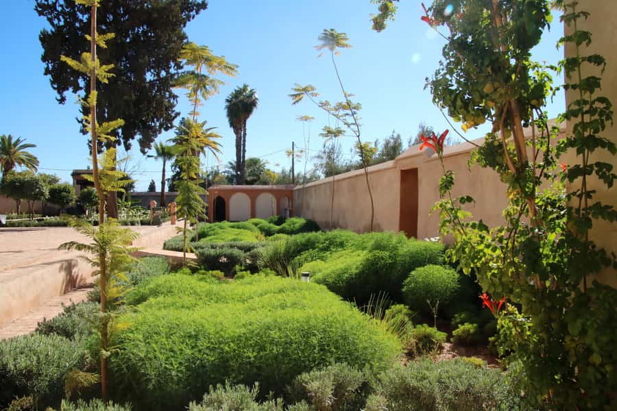 From Casablanca: Marrakech Guided Day Trip with Camel Ride - Secret Garden: a quiet pause inside the old city