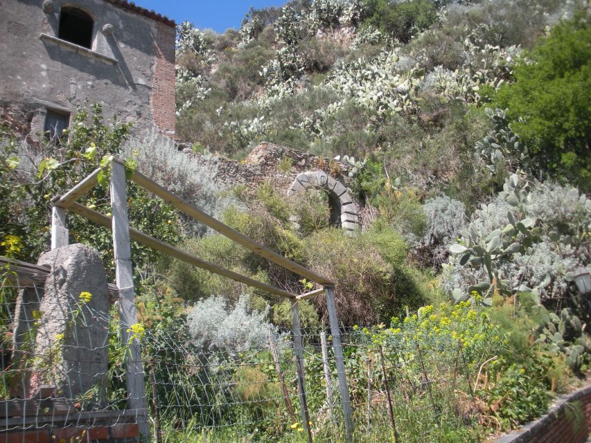 From Catania: The Godfather Movie Day Trip in Sicily - The short transfer to Forza d’Agrò