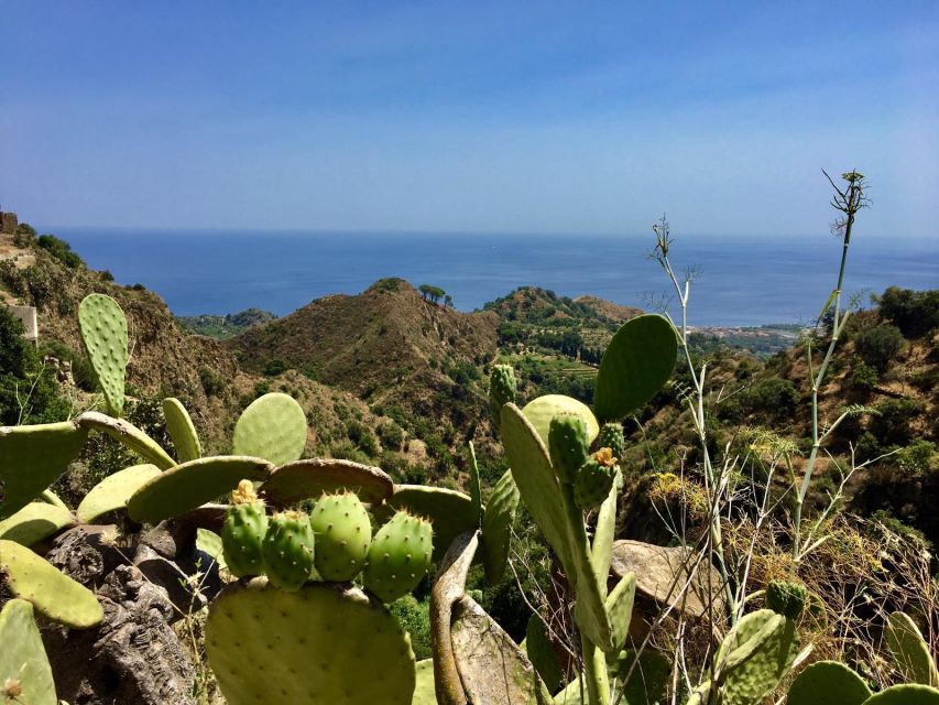 From Catania: The Godfather Movie Day Trip in Sicily - The return drive and possible extras