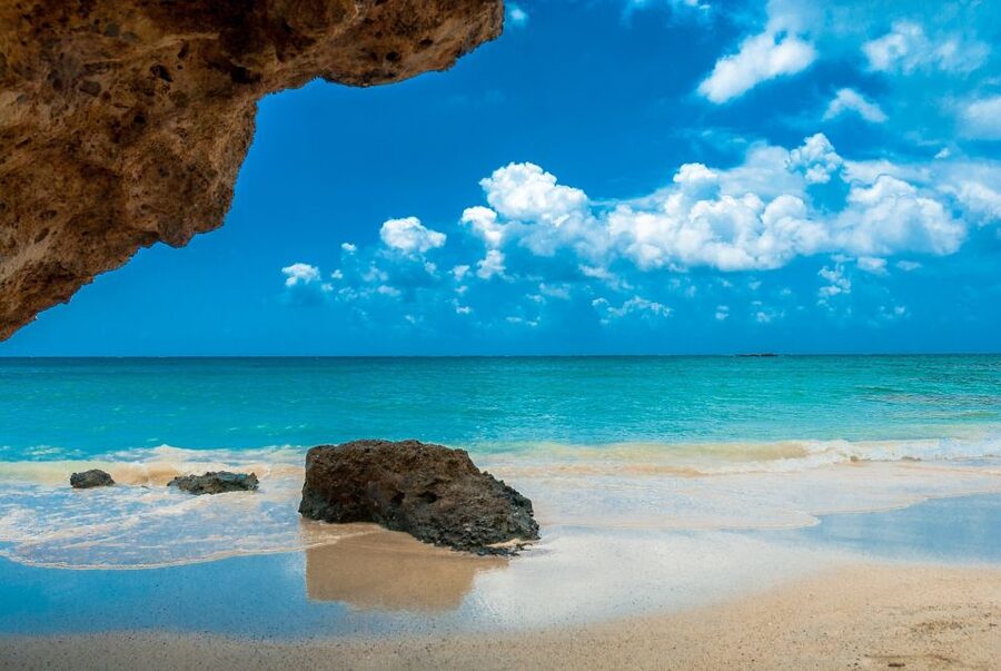 From Chania Area: Day Trip to Elafonisi Island by Bus - Who will enjoy this experience most?
