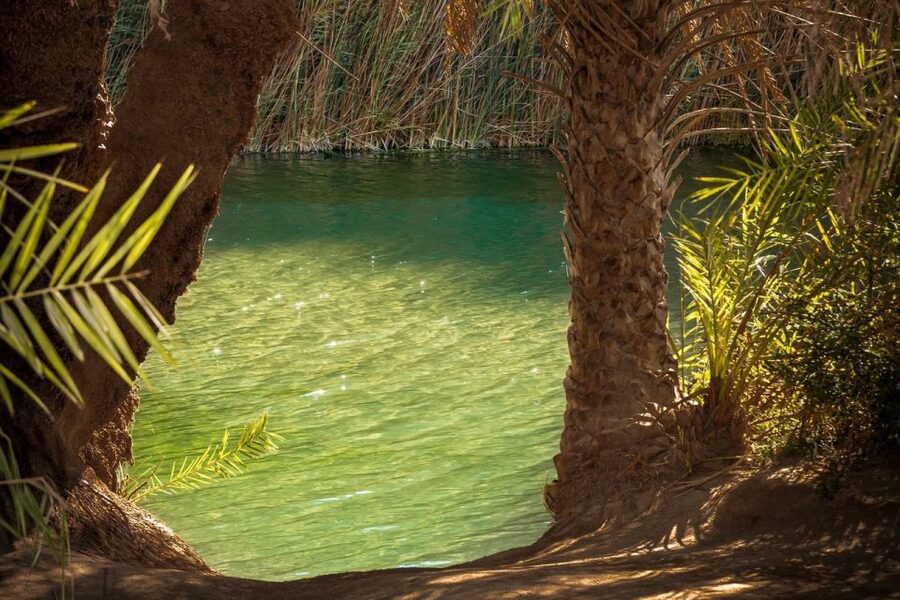 From Chania: Day Trip to Preveli Beach & Damnoni Beach - Plakias Gives You a Different Kind of Break