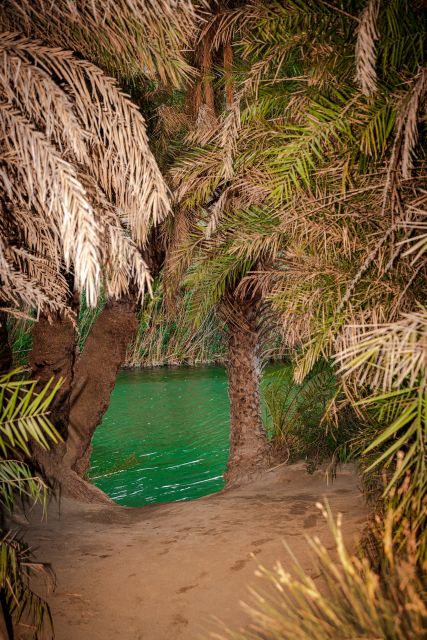 From Chania: Day Trip to Preveli Beach & Damnoni Beach - Practical Advice for a Better Day