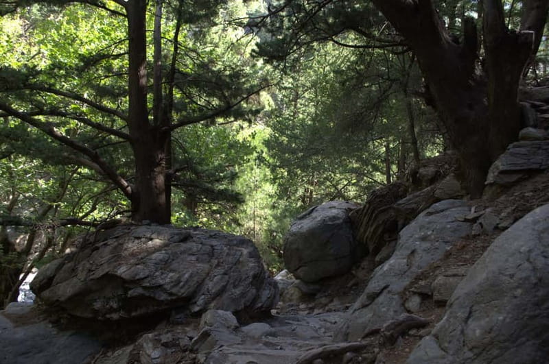 From Chania/Kalyves: Full-Day Samaria Gorge Hiking Day Trip - Who should book this day trip?