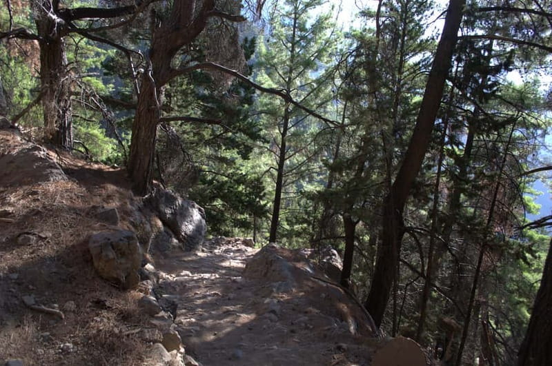 From Chania/Kalyves: Full-Day Samaria Gorge Hiking Day Trip - Inside the gorge: stones, shade, springs, and wildlife