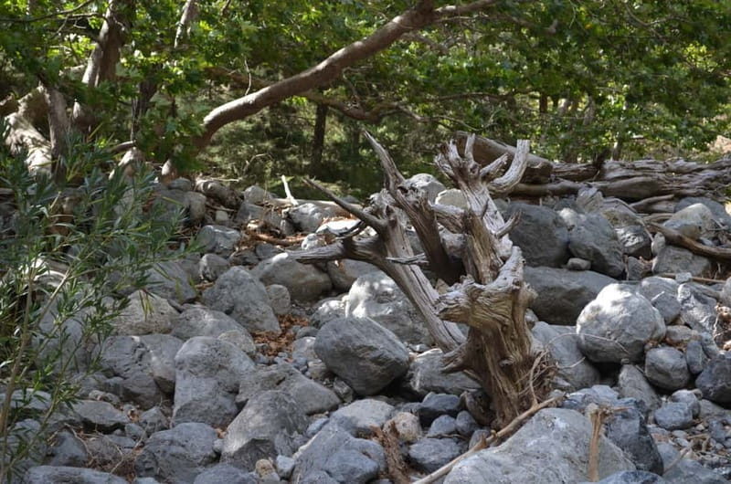 From Chania/Kalyves: Full-Day Samaria Gorge Hiking Day Trip - What the $32.75 price really covers