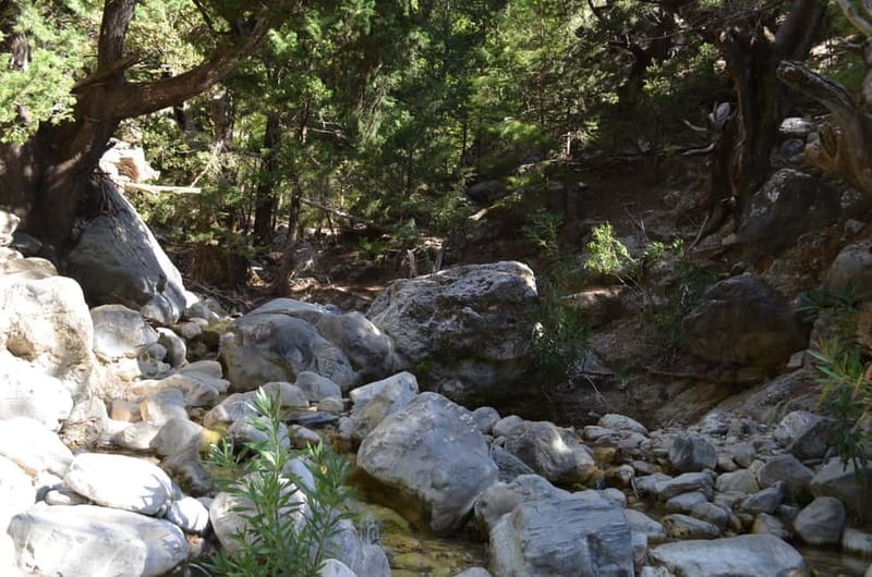 From Chania/Kalyves: Full-Day Samaria Gorge Hiking Day Trip - What to pack for a safer, easier walk