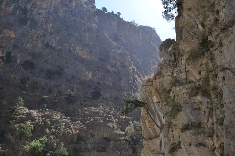 From Chania/Kalyves: Full-Day Samaria Gorge Hiking Day Trip - A 6 a.m. start and the road to Omalos