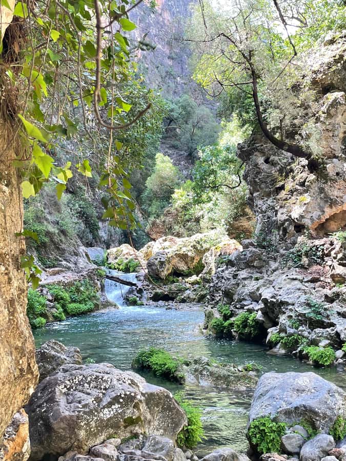 From Chefchaouen: Full-Day Trip to Akchour Waterfalls - Swimming in the natural pools
