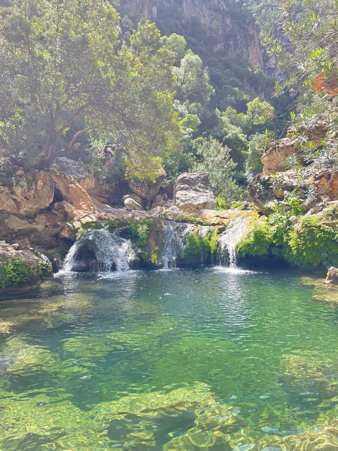 From Chefchaouen: Full-Day Trip to Akchour Waterfalls - Who should book this outing?