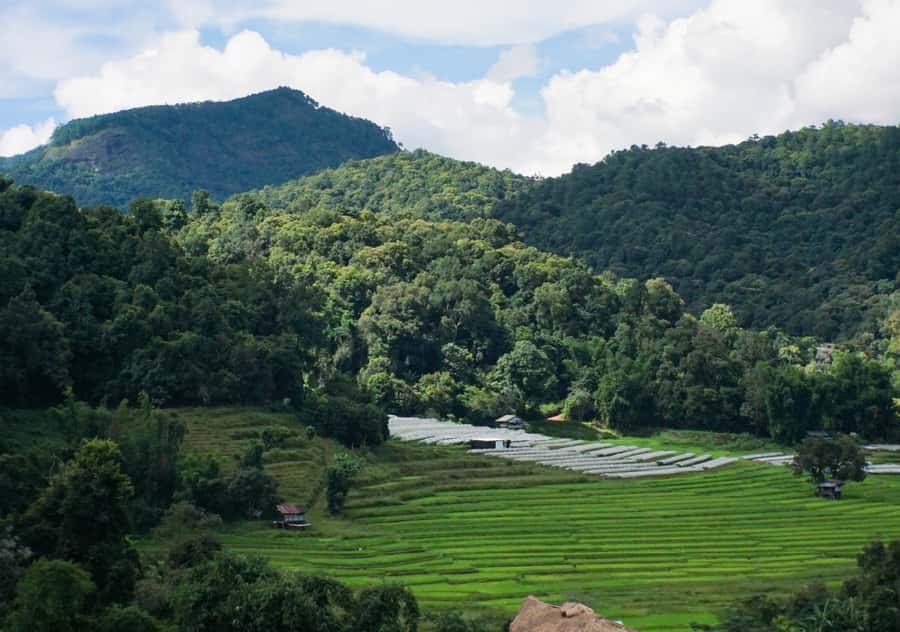 From Chiang Mai: Doi Inthanon National Park Day Trip & Hike - Key points to know before booking