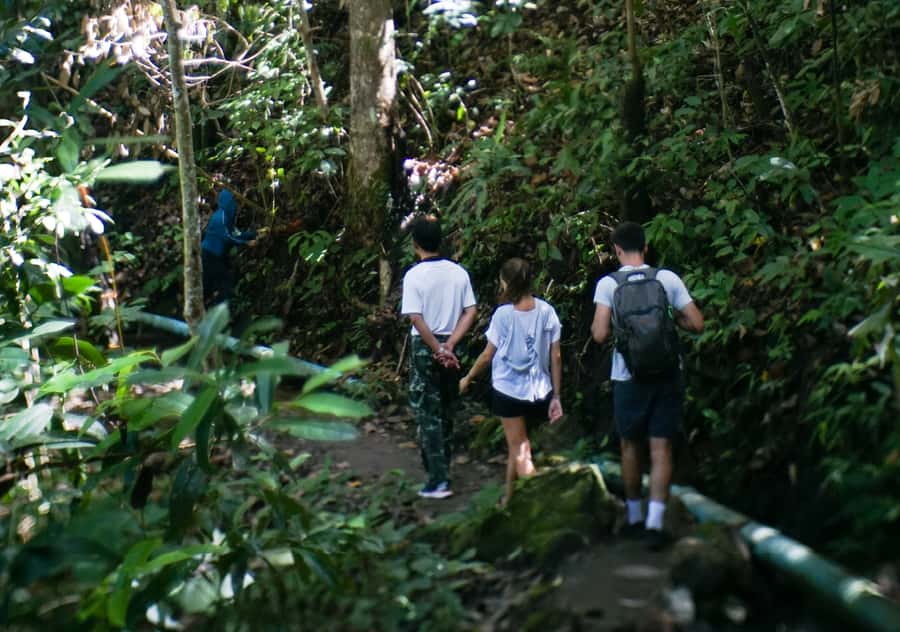 From Chiang Mai: Doi Inthanon National Park Day Trip & Hike - Twin pagodas with views and royal connections