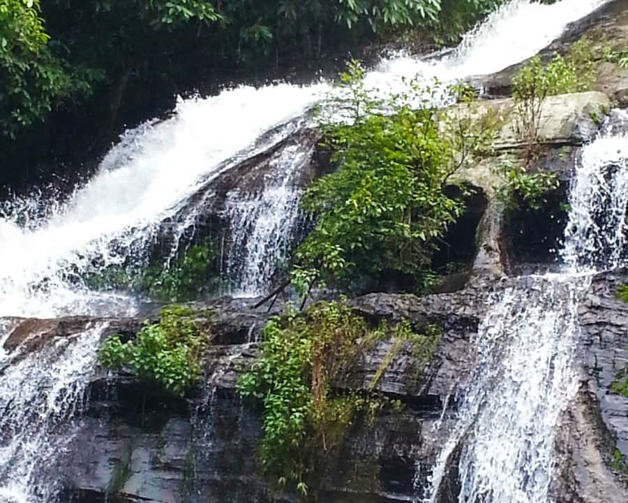 From Chiang Mai: Doi Inthanon National Park Day Trip & Hike - Pha Dok Siew Trail is the day’s best section