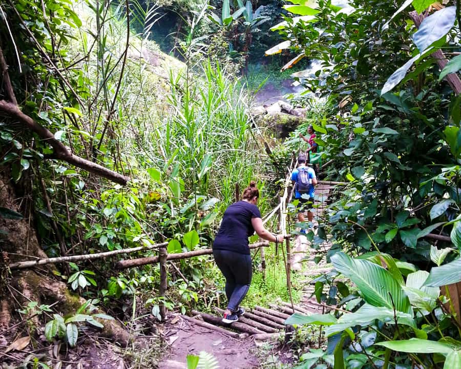 From Chiang Mai: Doi Inthanon National Park Day Trip & Hike - Mae Klang Luang and Karen village coffee