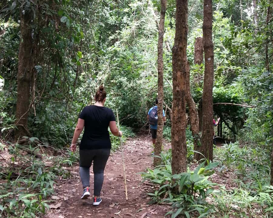 From Chiang Mai: Doi Inthanon National Park Day Trip & Hike - What the guides add to the experience