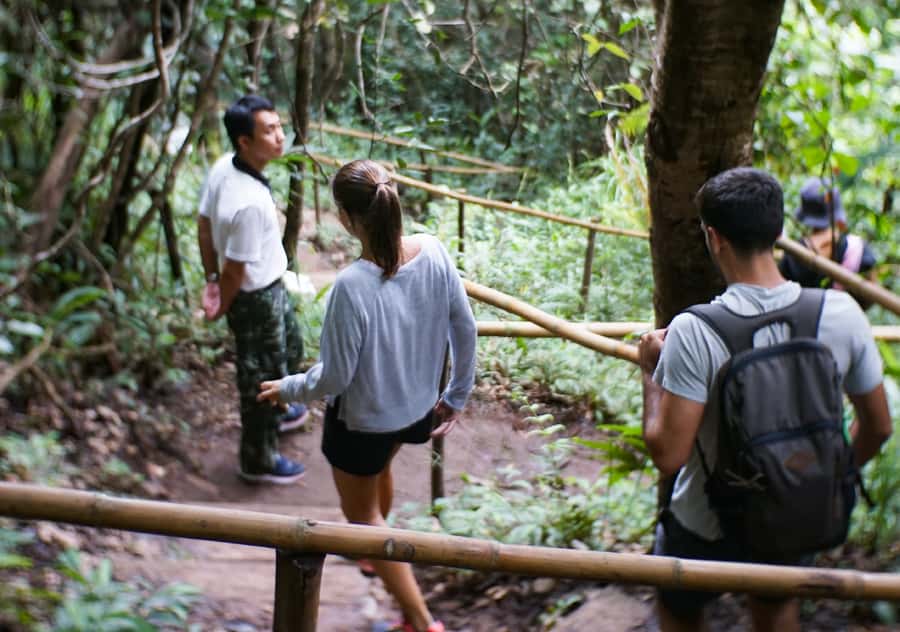 From Chiang Mai: Doi Inthanon National Park Day Trip & Hike - The two-hour drive from Chiang Mai