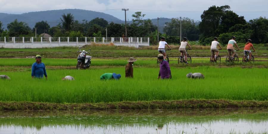 From Chiang Mai: Mae Taeng Valley Hike & Bike Day Trip - Why this Mae Taeng day trip works