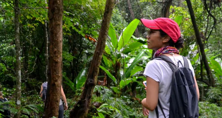 From Chiang Mai: Mae Taeng Valley Hike & Bike Day Trip - A 5-kilometer walk through village country