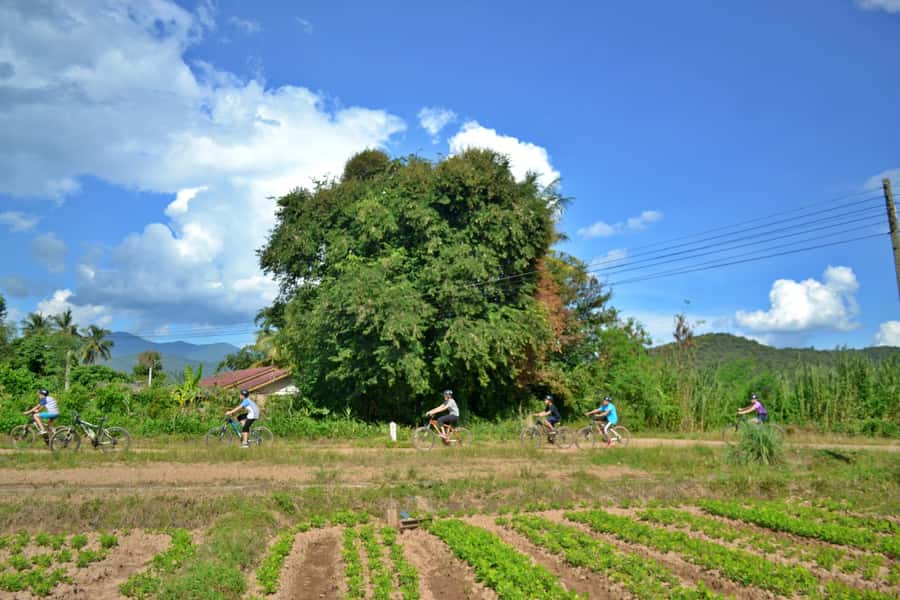 From Chiang Mai: Mae Taeng Valley Hike & Bike Day Trip - What the $83 price delivers