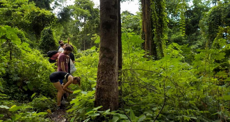 From Chiang Mai: Mae Taeng Valley Hike & Bike Day Trip - Who should book this outing?