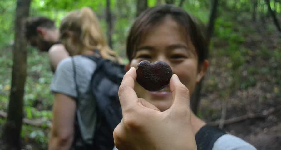 From Chiang Mai: Mae Taeng Valley Hike & Bike Day Trip - The 1.5-hour ride from Chiang Mai