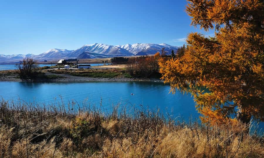From Christchurch: Queenstown via Tekapo & Mt Cook Day Trip - The two-part booking needs attention