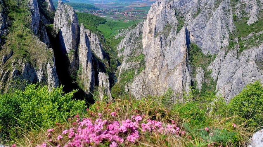 From Cluj: Turda Salt Mine, Gorge, and Remetea Full-Day Trip - Who should book this day trip?