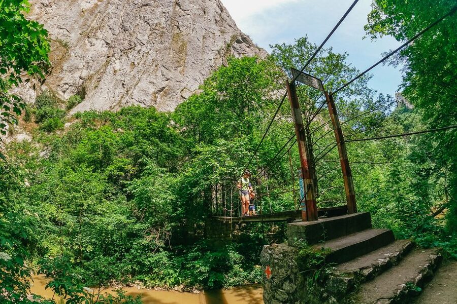 From Cluj: Turda Salt Mine, Gorge, and Remetea Full-Day Trip - Inside Turda Salt Mine, an underground world with a playful side