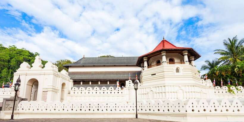 From Colombo: Kandy Full-Day Trip - Royal Botanic Gardens: beautiful, but too little time