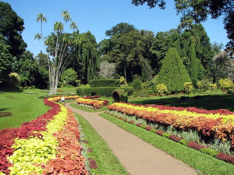 From Colombo: Kandy, Pinnawala and Tea Factory Full-Day Trip - The Temple of the Sacred Tooth Relic