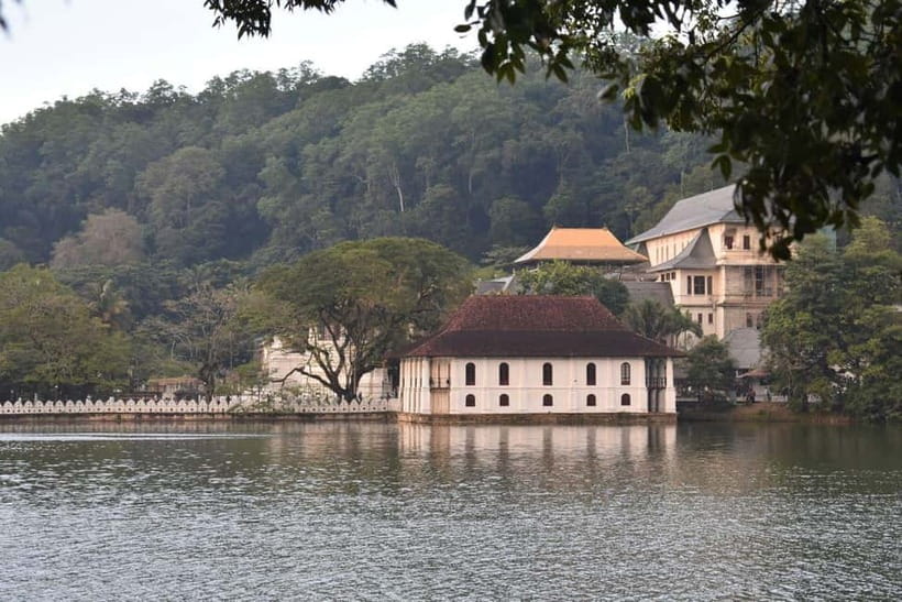 From Colombo: Kandy, Pinnawala and Tea Factory Full-Day Trip - Crafts, carved wood, and Sri Lankan shopping