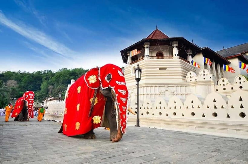 From Colombo: Kandy, Pinnawala and Tea Factory Full-Day Trip - The early road to Pinnawala
