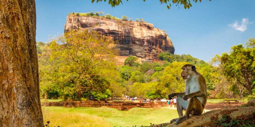 From Colombo: Sigiriya and Dambulla Day Trip with Safari - Choosing between village life and a wildlife safari