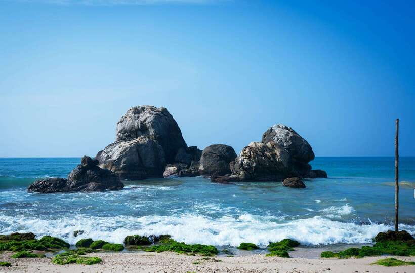 From Colombo to Galle Fort and Jungle Beach Day Trip - Madu River by boat, with extras to check carefully