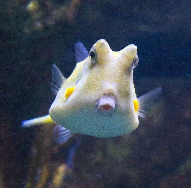 From Costa Brava: Barcelona Day Trip with Aquarium Visit - What the Aquarium Ticket Adds to the Price