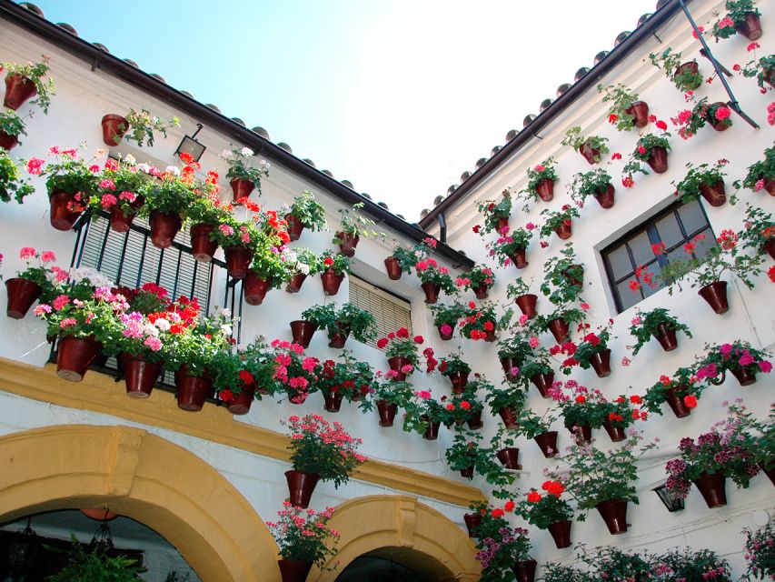 From Costa del Sol: Day Trip to Cordoba Free Time - Five hours among Córdoba’s lanes