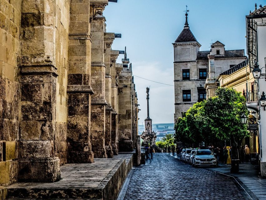From Costa del Sol: Day Trip to Cordoba Free Time - The Mosque-Cathedral and Patio de los Naranjos