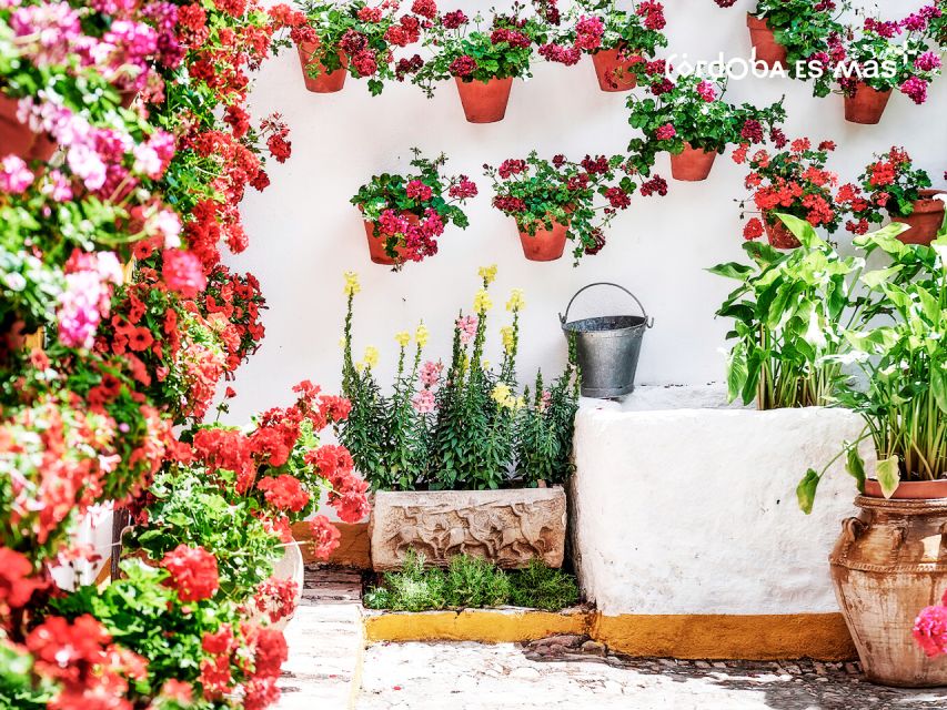 From Costa del Sol: Day Trip to Cordoba Free Time - What to eat during your free time