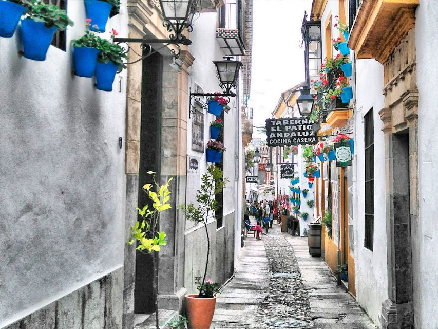 From Costa del Sol: Day Trip to Cordoba Free Time - The coach ride from Costa del Sol