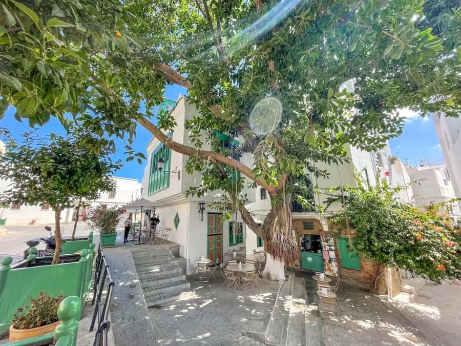 From Costa del Sol: Discover Tangier on a Guided Day Trip - Moroccan lunch after the walking tour
