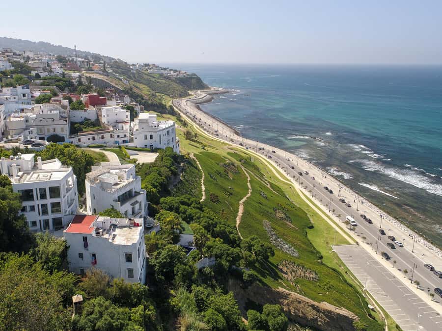 From Costa del Sol: Discover Tangier on a Guided Day Trip - Bazaar, Berber pharmacy, or free time