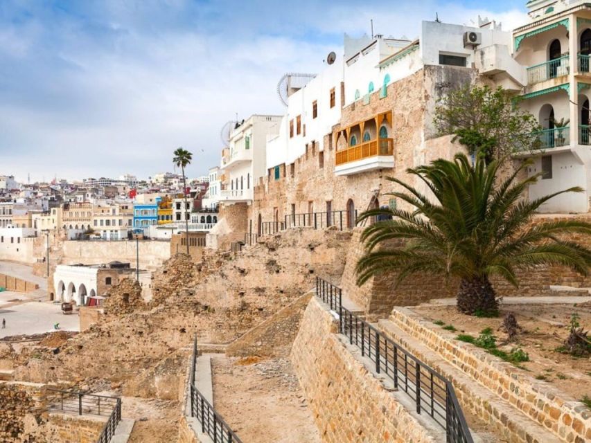 From Costa del Sol: Discover Tangier on a Guided Day Trip - Returning through Tangier port