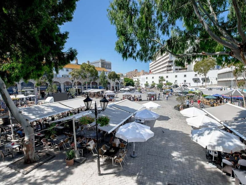 From Costa del Sol: Gibraltar Day Trip with Free Time - Should you add the Rock of Gibraltar?