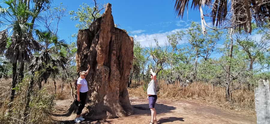 From Darwin: Litchfield National Park Small-Group Day Trip - Key points at a glance