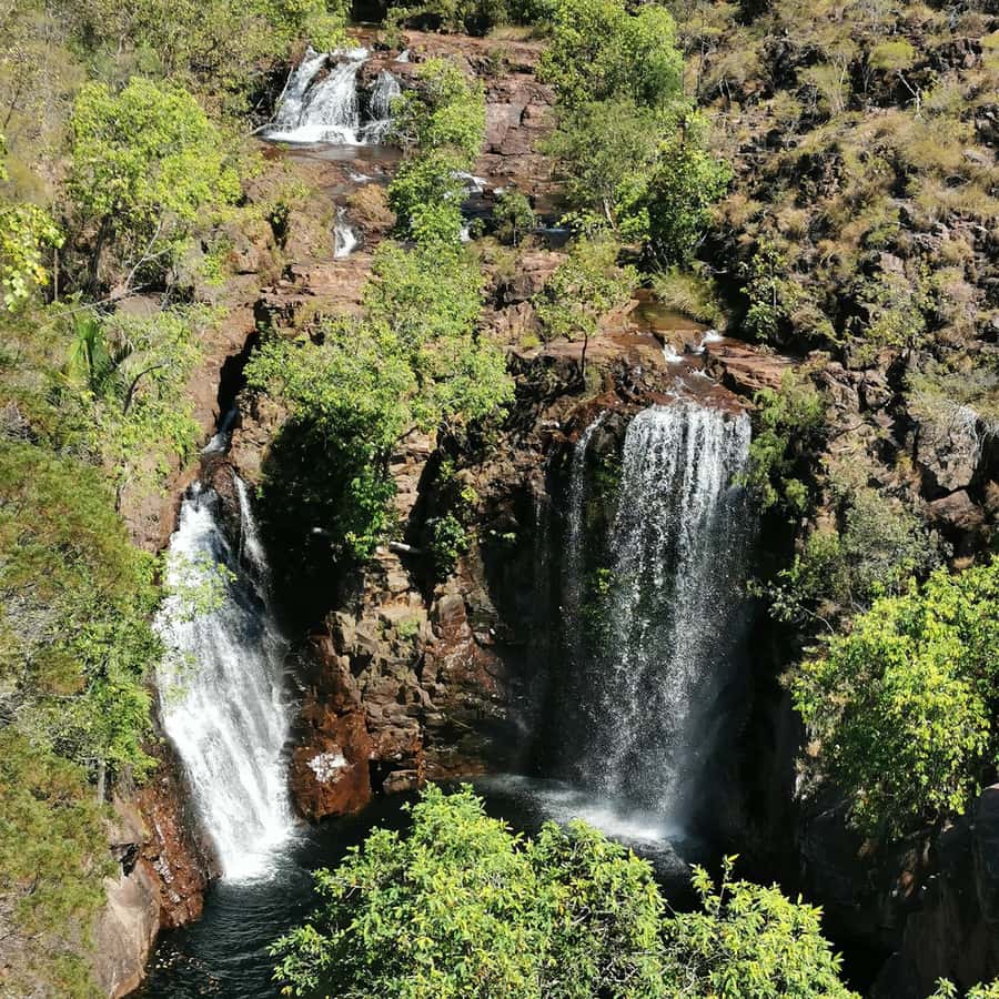 From Darwin: Litchfield National Park Small-Group Day Trip - Magnetic Termite Mounds: a clever natural design