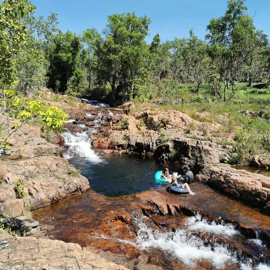 From Darwin: Litchfield National Park Small-Group Day Trip - The 8:00 am pickup and ride to Batchelor